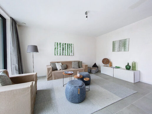 Vastgoedstyling_Ichtegem (1)