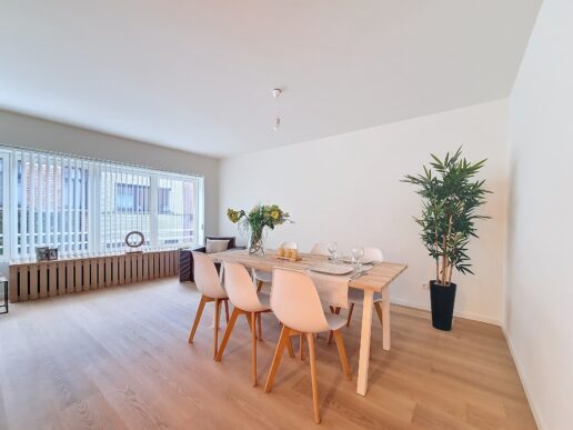 HomeStaging_Mechelen (1)
