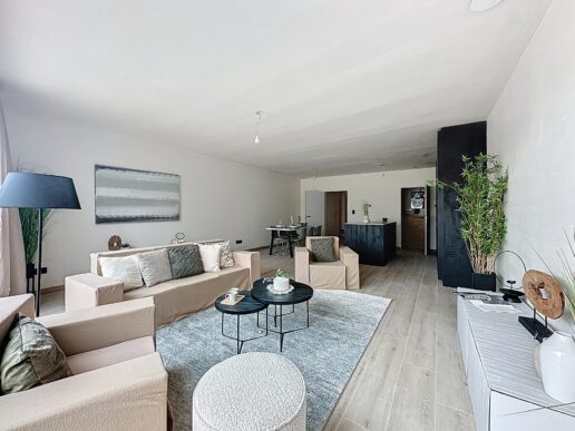 Vastgoedstyling_Dendermonde (2)