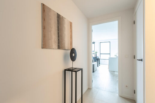 Molenbeek – Ekla – penthouse 17