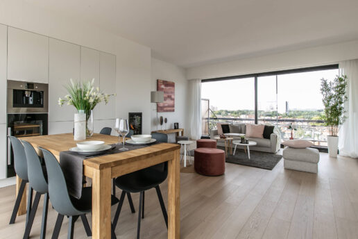 Berchem – Grotesteenweg 404 penthouse