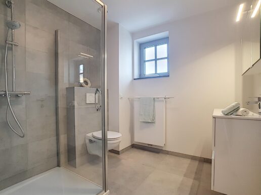 Lasne – Millesieme Argenteuil – 0.11