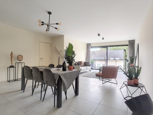 Vilvoorde – Witherenstraat 30 – 2deV