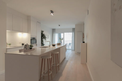 Antwerpen – Project Leopold