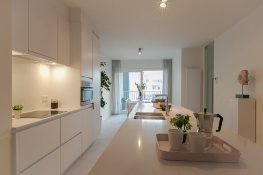 Antwerpen – Project Leopold