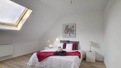 Sint-Niklaas – Project Hector