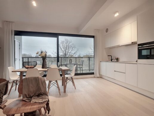 Antwerpen – Desguinlei 230 3de V